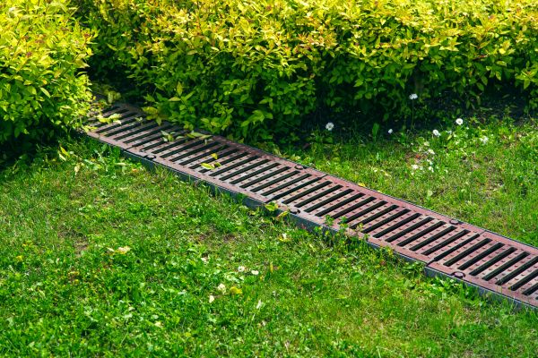 Lawn Drainage - Lawn Drainage Wake County, North Carolina