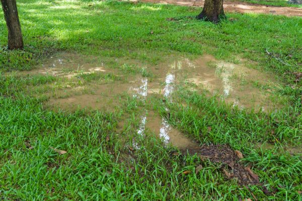 Garden Water Diversion, Garden Water Diversion, Georgia