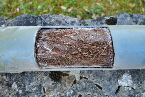 Drainage Issue Resolution