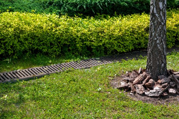 Residential Landscape Drainage - Residential Landscape Drainage Staten Island, New York