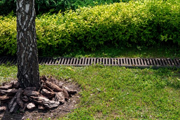 Garden Water Drainage